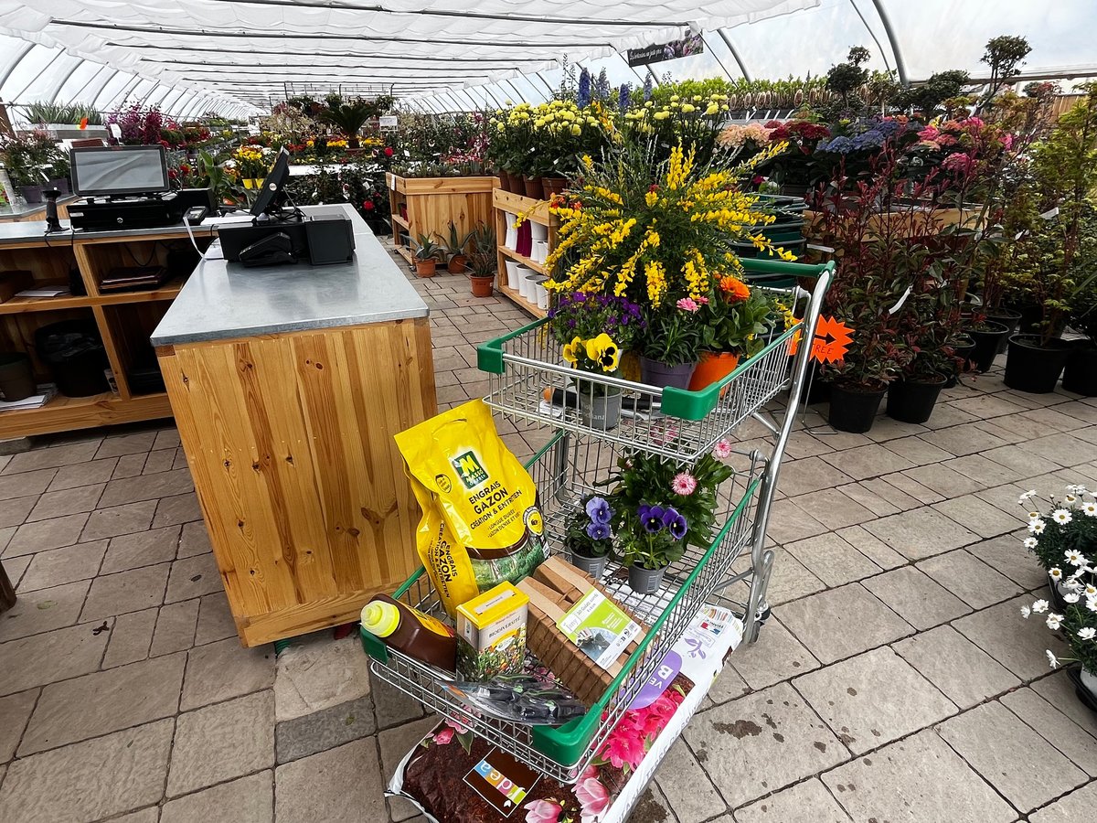 Présentoir de jardinerie avec chariot rempli de fleurs jaunes, fournitures de jardinage et plantes en pots sous une serre